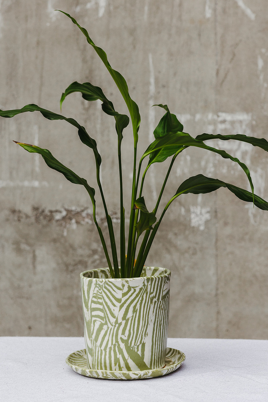 Nerikomi Planter Large Mixed Up