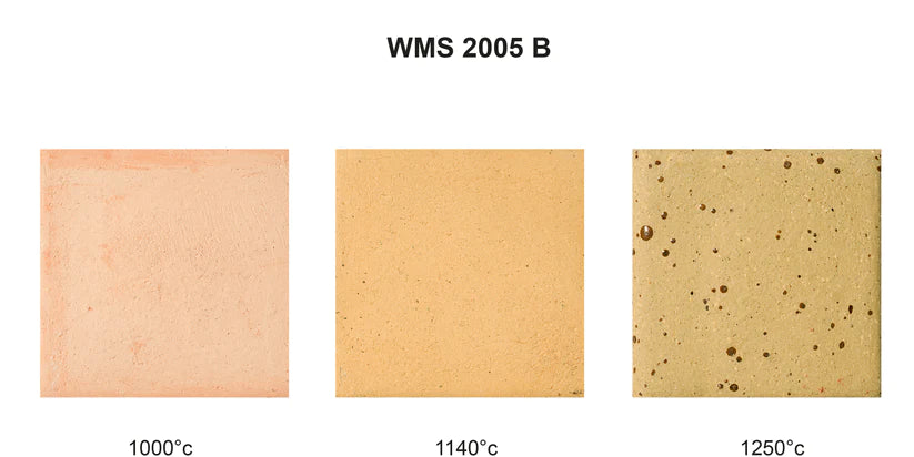 Primo Clay WMS 2005 B Stoneware with Speckle